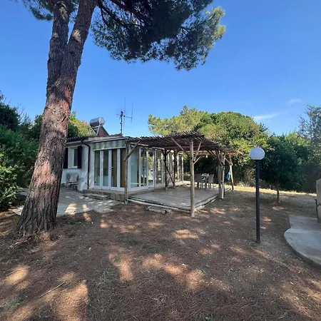 Hébergement de vacances Indipendenti Con Giardino Privato Per Famiglie E Cani Sterlizia 2 *