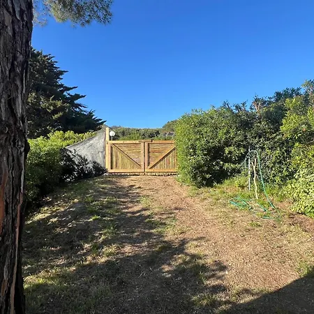 Indipendenti Con Giardino Privato Per Famiglie E Cani Sterlizia 2 * Lacona