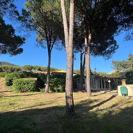 Indipendenti Con Giardino Privato Per Famiglie E Cani Sterlizia 2 * Lacona